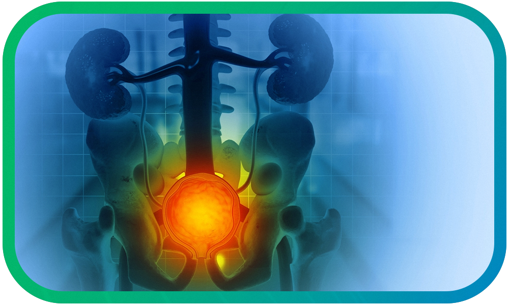 prostate cancer (coming soon)
